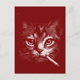 Lustige rauchende Katze Postkarte