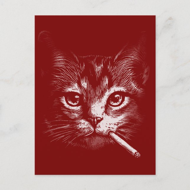 Lustige rauchende Katze  Postkarte (Vorderseite)