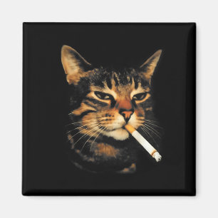 Lustige rauchende Katze Zigarette Kätzchen Meme Du Magnet