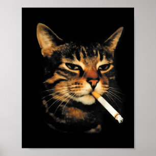 Lustige rauchende Katze Zigarette Kätzchen Meme Du Poster