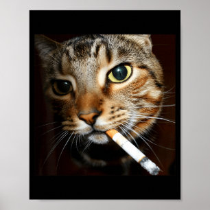 Lustige rauchende Katzen-Meme Dark Humor Sarkastis Poster