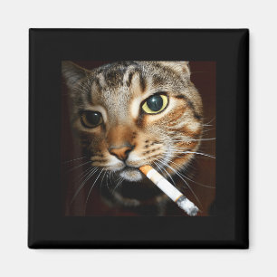 Lustige rauchende Katzen-Meme dunkler Humor sarkas Magnet