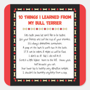 Lustige Sachen I gelernt von meinem Bullterrier Quadratischer Aufkleber