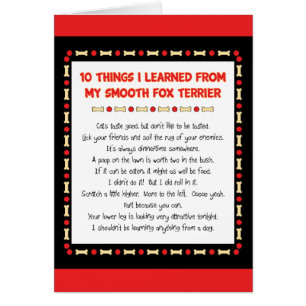 Lustige Sachen I gelernt von meinem glatten