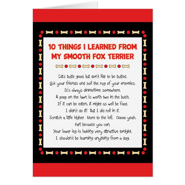 Lustige Sachen I gelernt von meinem glatten (Vorne)