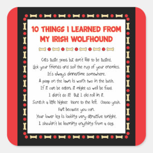 Lustige Sachen I gelernt von meinem irischen Quadratischer Aufkleber