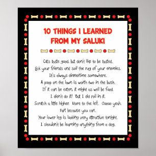 Lustige Sachen I gelernt von meinem Saluki Poster