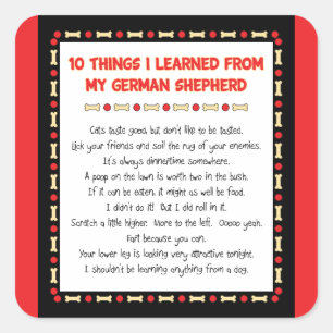 Lustige Sachen I gelernt von meinem Schäferhund Quadratischer Aufkleber