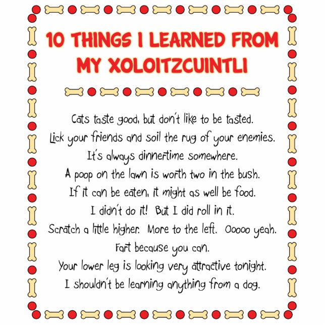 Lustige Sachen I gelernt von meinem Xoloitzcuintli Freistehende Fotoskulptur (Vorne)
