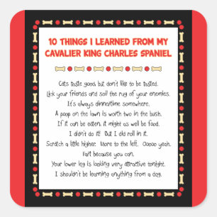 Lustige Sachen I gelernt von unbekümmertem König Quadratischer Aufkleber