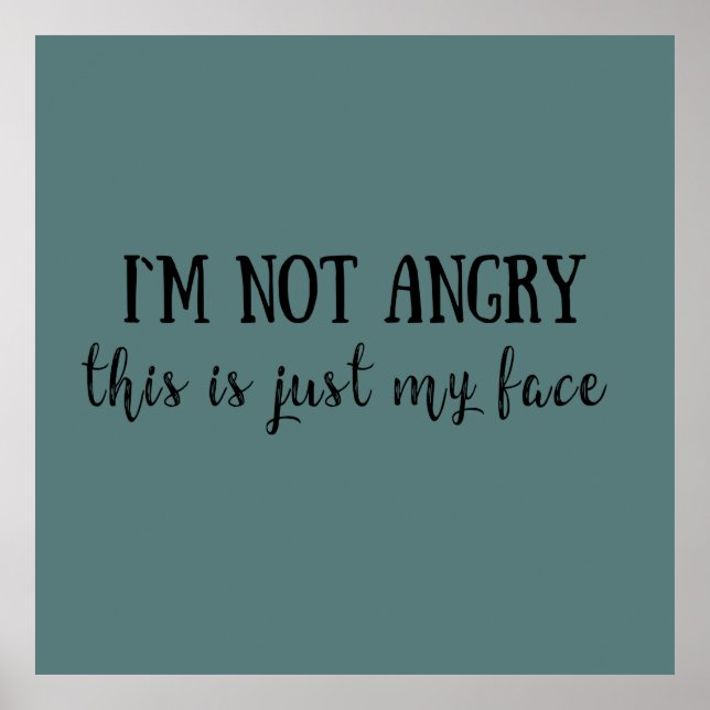 lustige sarkastische Redewendungen Poster (Vorne)