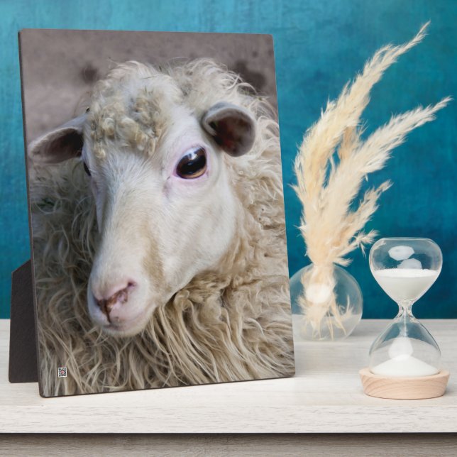 Lustige Schafe Fotoplatte (Seite)
