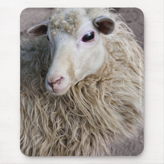 Lustige Schafe Mousepad (Vorne)