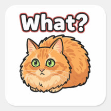 Lustige schockierte rote Katze Was? Meme-Aufkleber