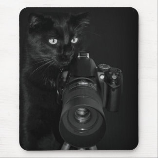 Lustige schwarze Katze mit der Kamera Mousepad