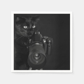 Lustige schwarze Katze mit der Kamera Serviette