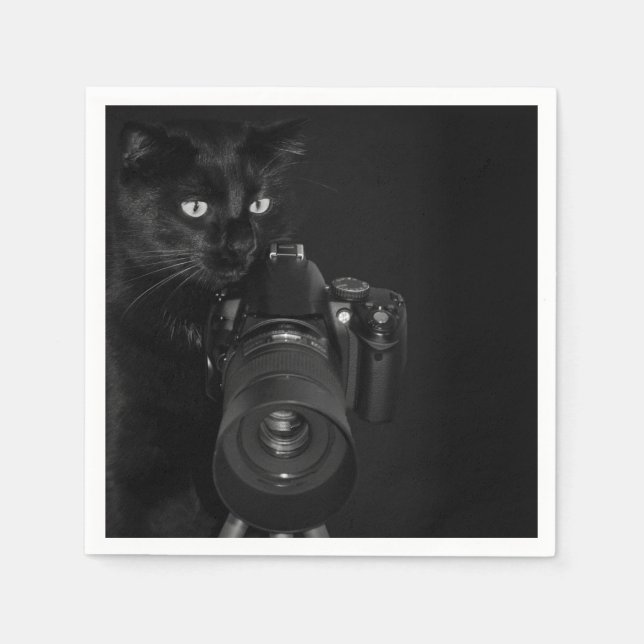 Lustige schwarze Katze mit der Kamera Serviette (Vorderseite)
