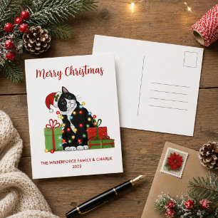 Lustige schwarze Katze und Weihnachtslichter Weihn Feiertagspostkarte