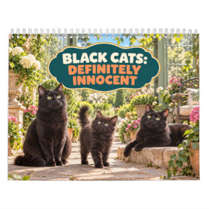 Lustige schwarze Katzen sind definitiv unschuldig Kalender