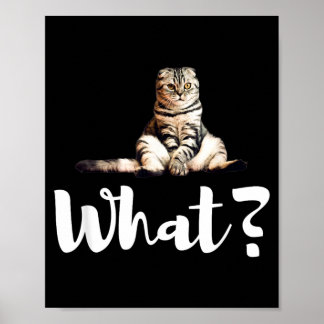 Lustige Scottish Fold Katzen Was Süße Kätzchen Ges Poster
