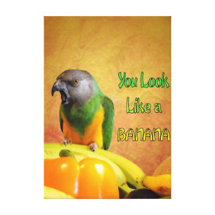 Lustige Senegal-Papageien-Banane Leinwanddruck