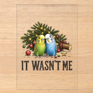 Lustige Sittiche Weihnachten Es War Nicht Ich Acryleinladungen
