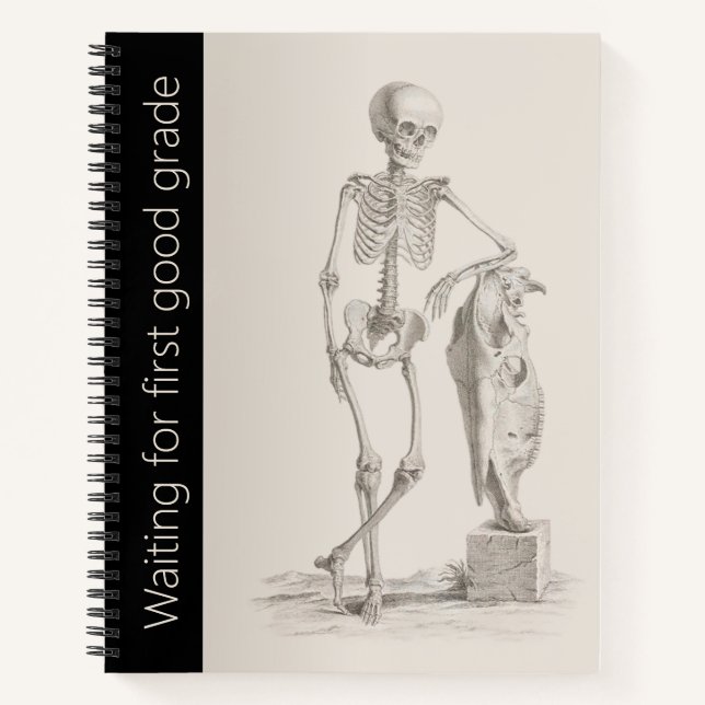 Lustige Skelett-Schule, Spiral-Universitätsnotizbu Notizbuch (Vorderseite)