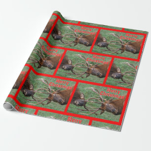 Lustige Sparring Stier-Elch-frohe Weihnachten Geschenkpapier