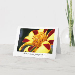 Lustige Spaßvogel-Ringelblume - Glück mit Ihrer Karte