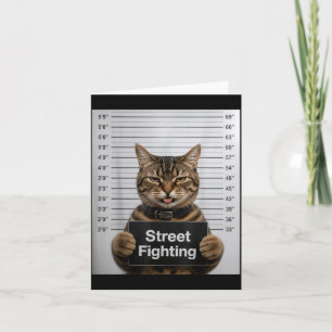 Lustige Straßenkämpfe Katzen Humor Für Kätzchen Ha Karte