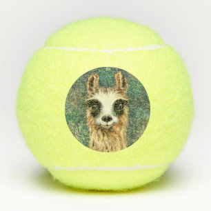 Lustige Tennisbälle von neugierigem Lama