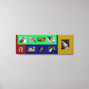 Lustige Tiere auf farbenfroher Spannleinwand Leinwanddruck