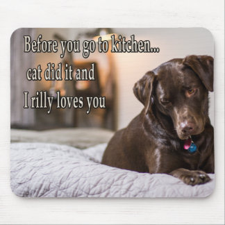 Lustige Tiermemes Hundmemes humorvolle Fotos Mousepad