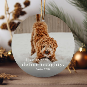 Lustige unartige Tier 2 Foto Weihnachten Keramik Ornament