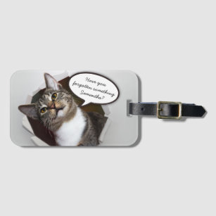 Lustige unterbrechenkatzen-personalisierte gepäckanhänger