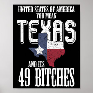 Lustige USA-Flagge Vereinigte Staaten von Amerika Poster