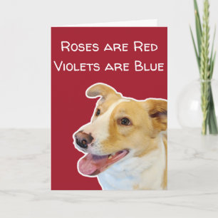 Lustige Valentinstagskarte für Hundebesitzer Karte