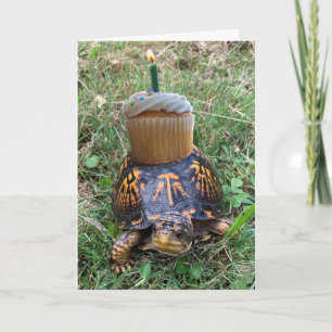 Lustige verspätete Geburtstagskarte Karte