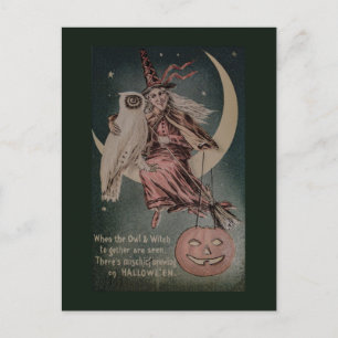 Lustige Vintage-Halloween-Eulen-Illustration Postkarte