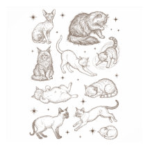 Lustige Vintage-Katzen in verschiedenen Posen