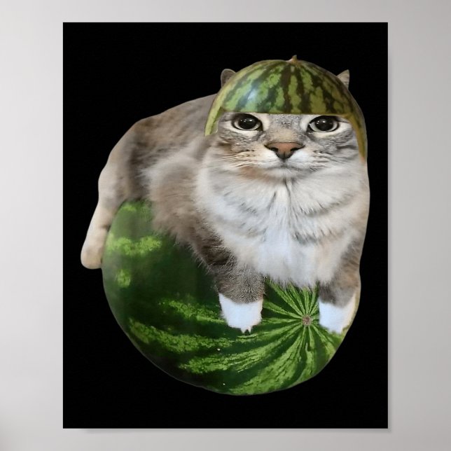 Lustige Wassermelonen-Katzen-Meme  Poster (Vorne)