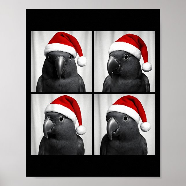 Lustige Weihnachten Eclectus-Papagei Santa-Fotoboo Poster (Vorne)