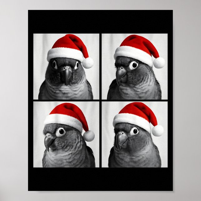 Lustige Weihnachten Green Cheek Conure Santa Foto  Poster (Vorne)