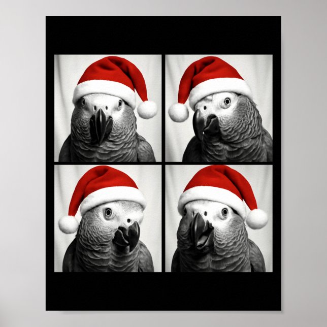 Lustige Weihnachtsafrikanische G-Papagei-Santa-Pho Poster (Vorne)
