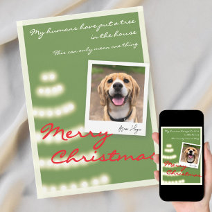 Lustige Weihnachtsfotokarte für Haustiere Feiertagskarte