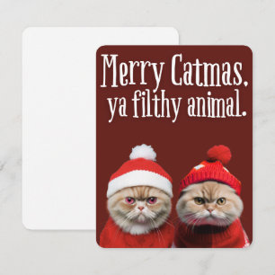 Lustige Weihnachtsgrüße von Santa-Katzen Feiertagskarte