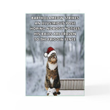 Lustige Weihnachtskatze