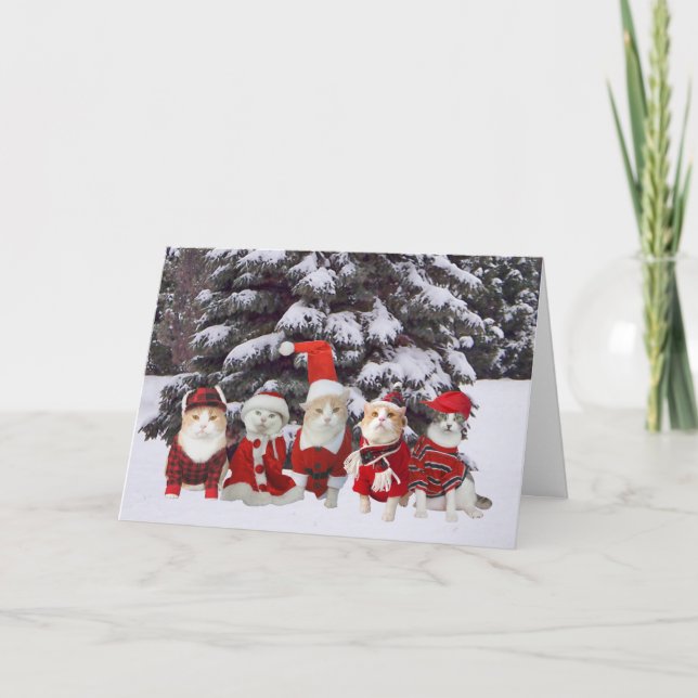 Lustige WeihnachtsMiezekatze-Katzen Feiertagskarte (Vorderseite)