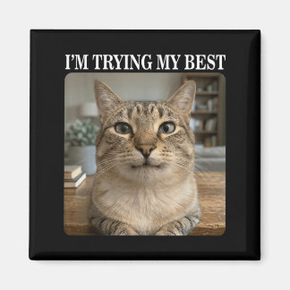 Lustige weinende Katzen-Meme für Männer Frauen Kin Magnet