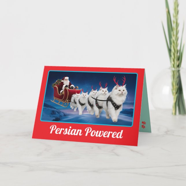Lustige weiße Perserkatze Weihnachten Urlaub Karte (Vorderseite)
